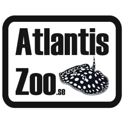 Atlantis ZOO