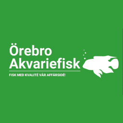 Örebro Akvariefisk